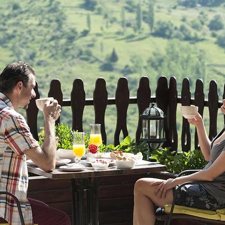AROMA DRYOS SPA&ECO Hotel Metsovo Eksteriør billede
