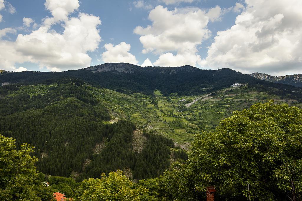 AROMA DRYOS SPA&ECO Hotel Metsovo Værelse billede