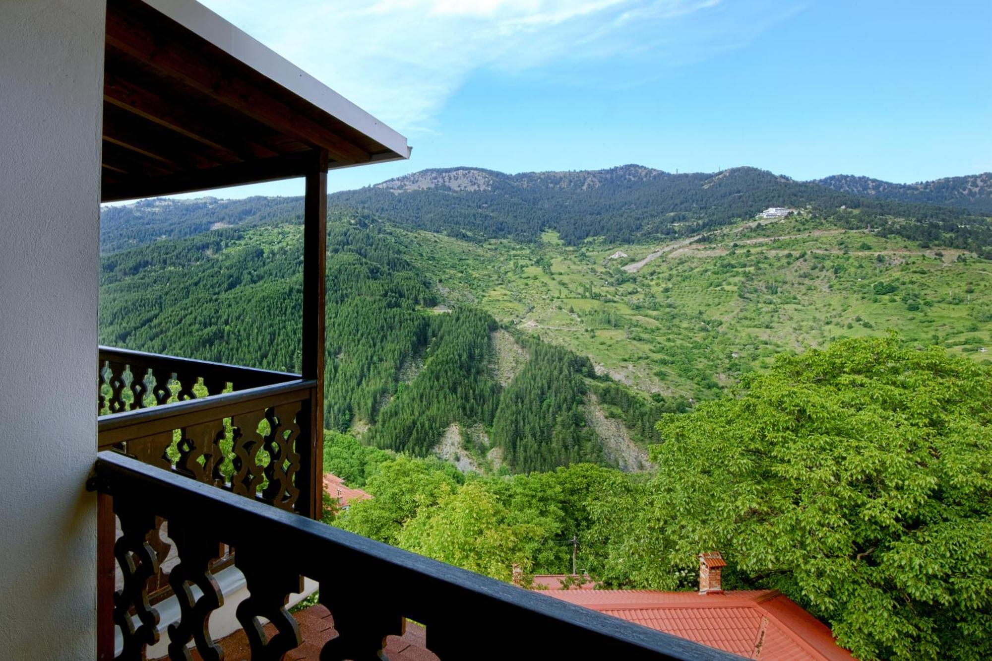 AROMA DRYOS SPA&ECO Hotel Metsovo Eksteriør billede