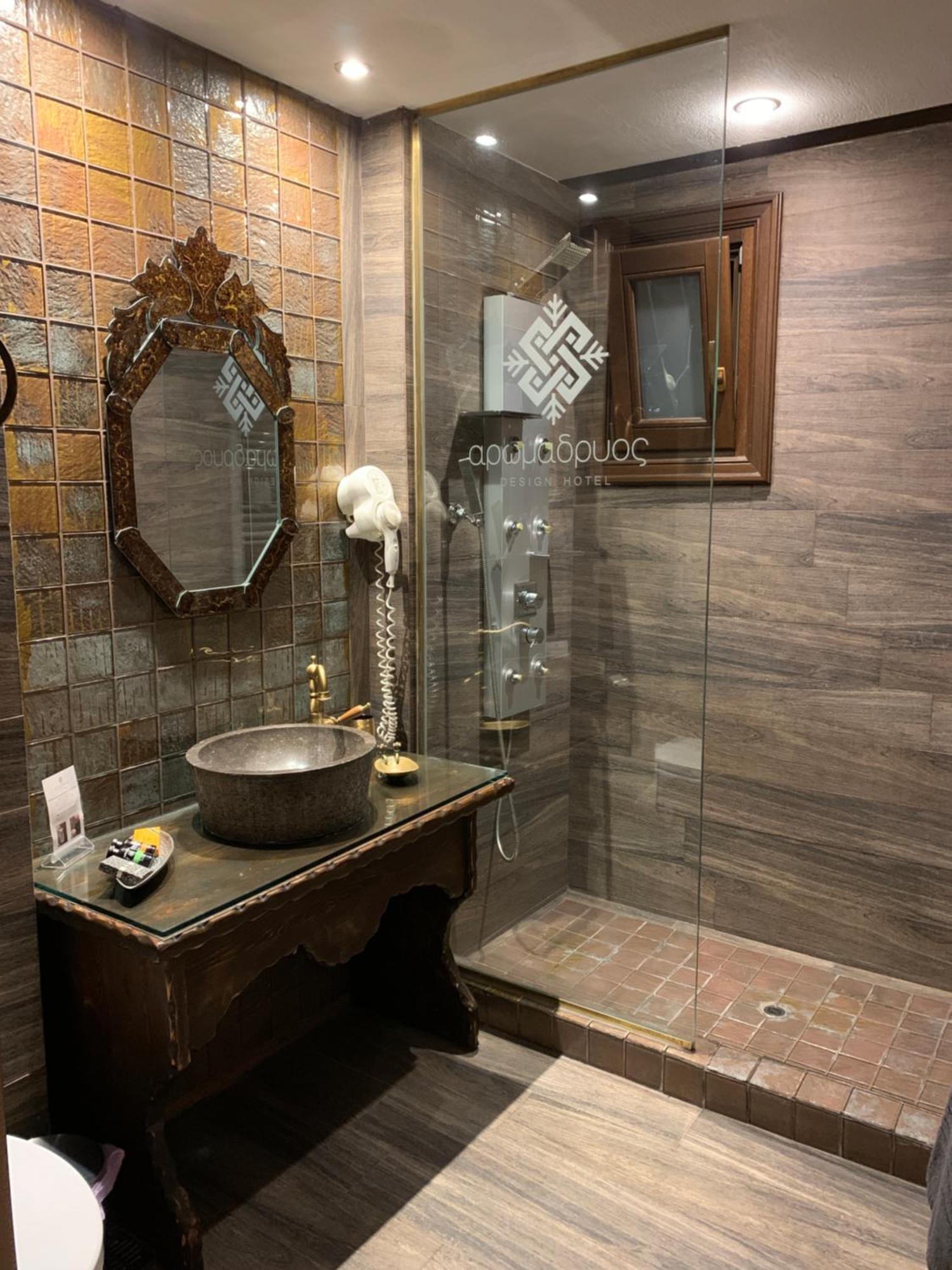 AROMA DRYOS SPA&ECO Hotel Metsovo Eksteriør billede
