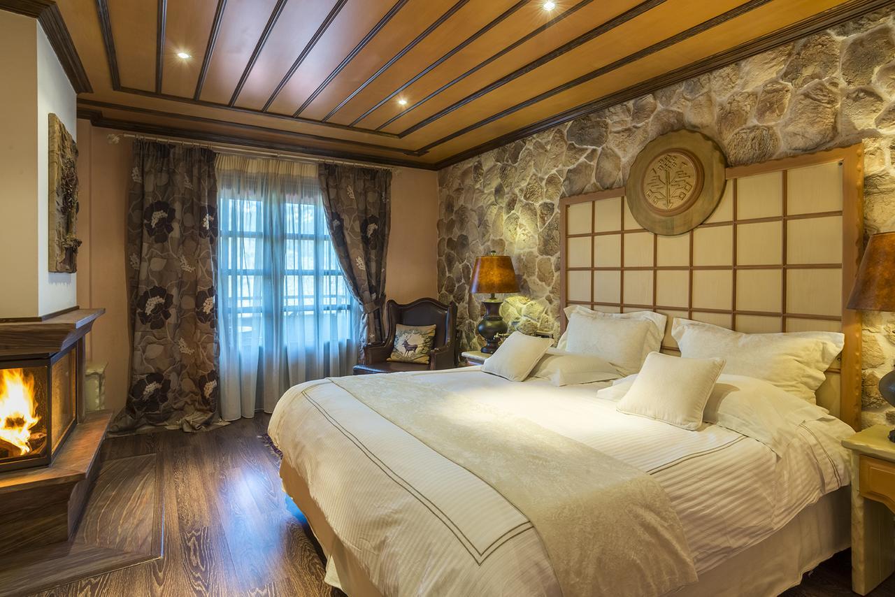 AROMA DRYOS SPA&ECO Hotel Metsovo Eksteriør billede