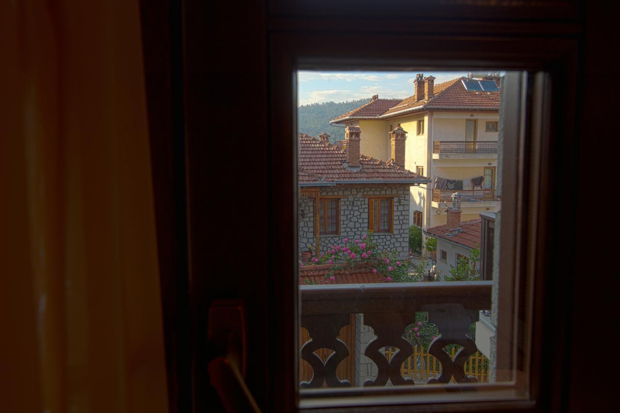AROMA DRYOS SPA&ECO Hotel Metsovo Eksteriør billede