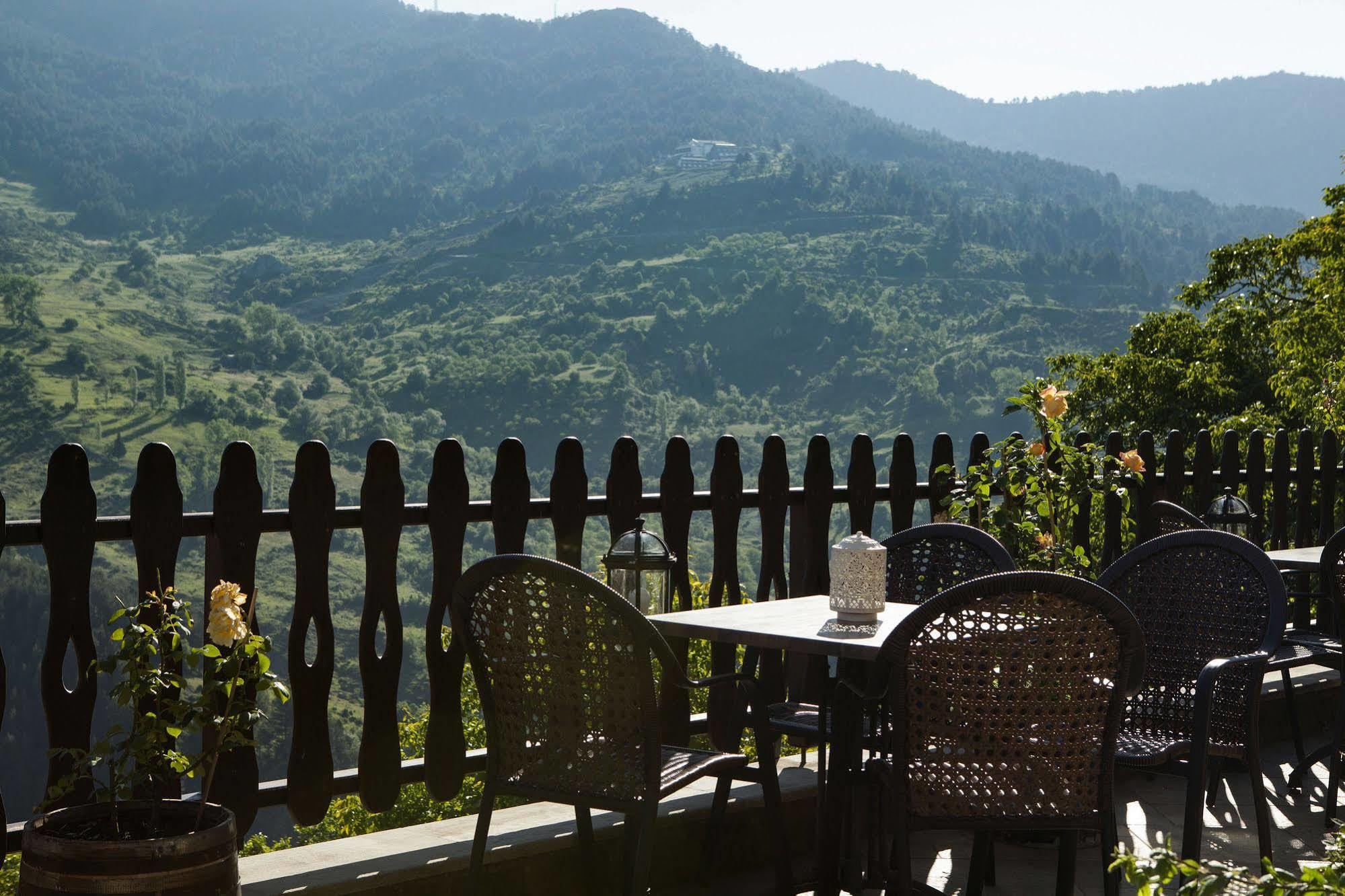 AROMA DRYOS SPA&ECO Hotel Metsovo Eksteriør billede