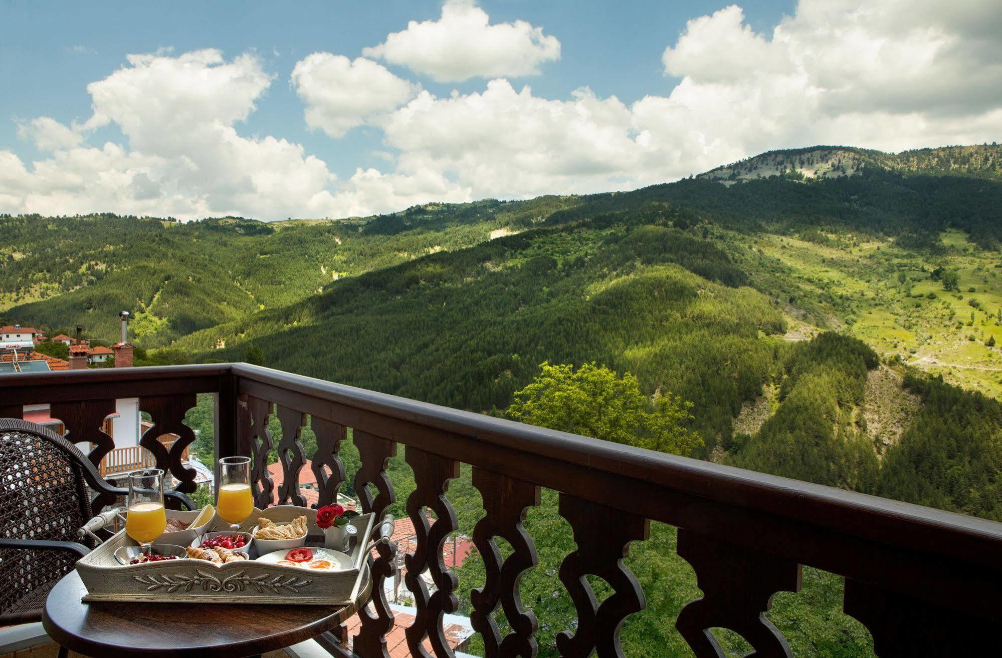 AROMA DRYOS SPA&ECO Hotel Metsovo Eksteriør billede