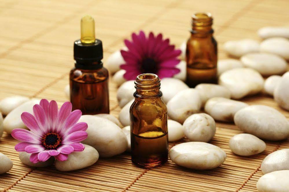 AROMA DRYOS SPA&ECO Hotel Metsovo Eksteriør billede